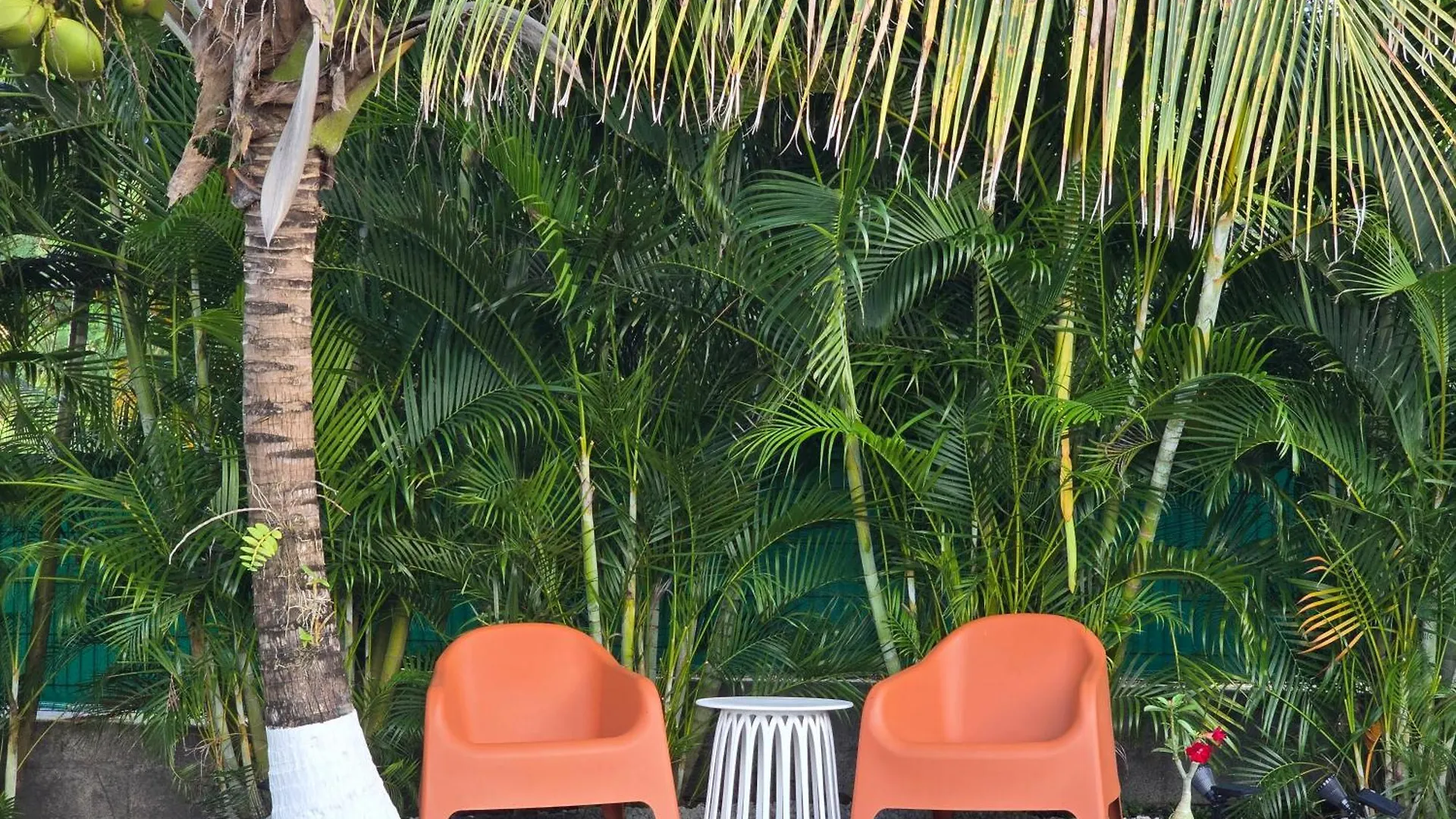 Jade - Villa Creole De Standing Et De Charme ,Vue Mer , Proche Des Plages & Piscine Privee Haut De Gamme Saint-Francois  Guadeloupe